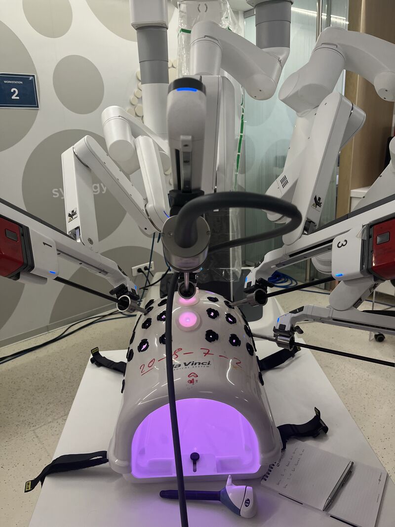 The Da Vinci robotic arms up close